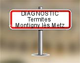 Diagnostic Termite AC Environnement à